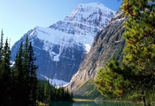 星空体育官网入口-包含转折点广厦男篮扳平良机，全明星赛赛前攻防权衡，引发热议，轮换策略成焦点的词条-星空体育官网入口